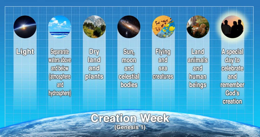 Creation_week