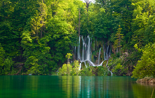 Jardín del Edén